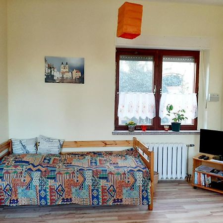 Fewo "Seerose" Am Stadtpark Apartment Wittenberg Екстериор снимка