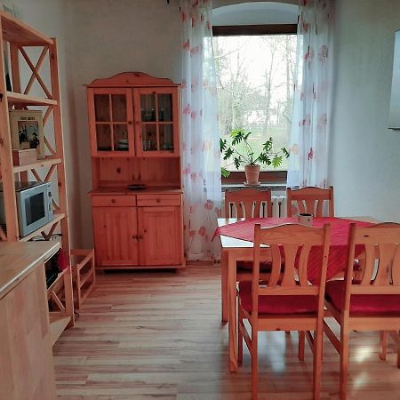 Fewo "Seerose" Am Stadtpark Apartment Wittenberg Екстериор снимка