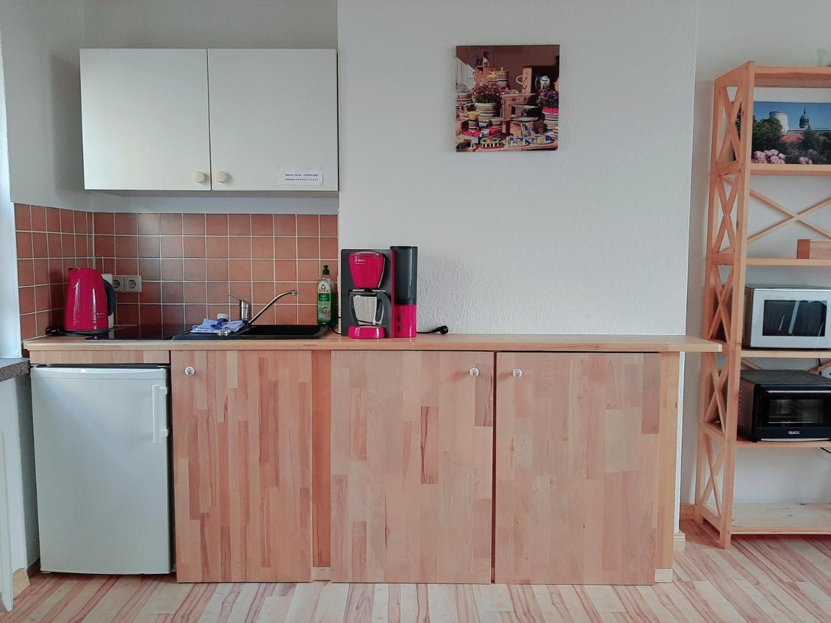 Fewo "Seerose" Am Stadtpark Apartment Wittenberg Екстериор снимка